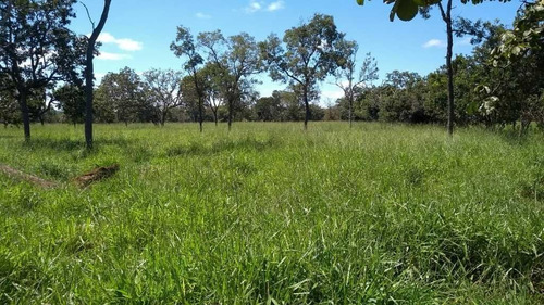 Imagem 7 de 30 de Fazenda De Pecuária E Agricultura 620 Hectares Curvelo Mg - 7557