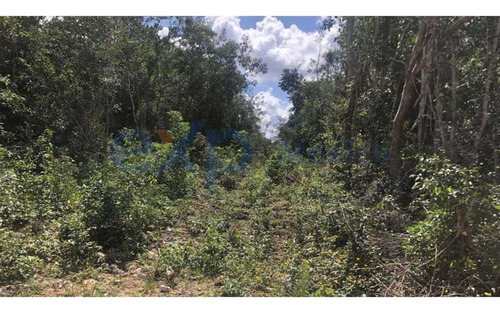 Lot For Sale In Bosques De Cancun