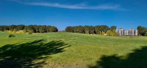 Imagen 6 de 7 de Vende Lotes En Canales De Plottier