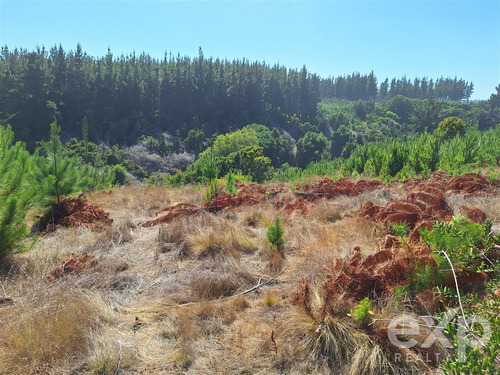 Sitio L37 Vista Amplia En Venta En Pichilemu