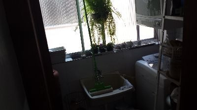 Apartamento Passo Da Areia Porto Alegre - 2705