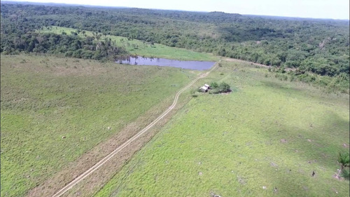 Fazenda 500 Alqueires (1210 Hectares), Juara - Mt