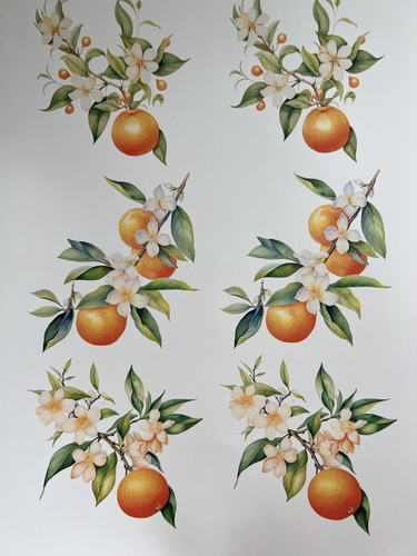 Decalque Artesanato Forno Caseiro Laranjas Com Flor