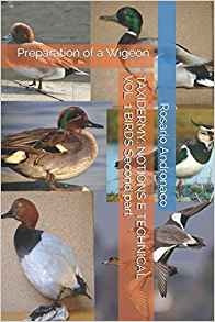 Taxidermy Notions E Technical Vol 1 Birds Second Part Prepar