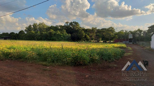 Chácara Fazenda Gleba Palhano, 3000 M² Por R$ 370.000 - Gleba Palhano - Londrina/pr - Ch0177