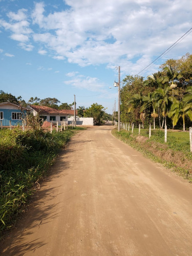 Imagem 19 de 23 de Lindo Terreno Para Chácara | 3.000 M² | Estuda Propostas - Sa01514 - 68164693