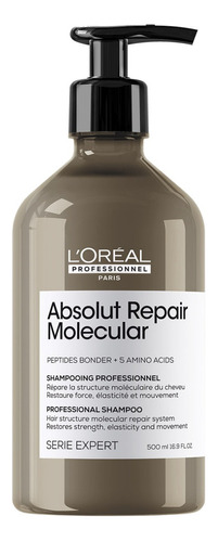 Absolut Repair Molecular Shampoo 500ml