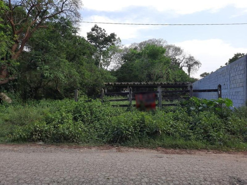 Renta Terreno 800 M² Col. Juan Lucas Tuxpan Veracruz