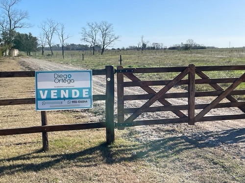 Terrenos En Venta En Zona Rural Partido De Chascomús.
