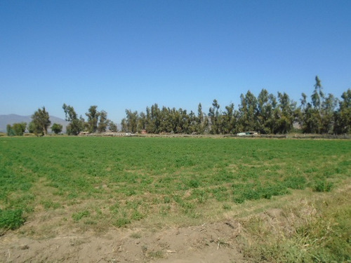Se Vende Paño 17 Has. Totalmente Plano En Camino El Toro