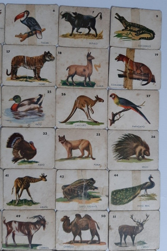 Imagen 5 de 8 de Antiguas Figuritas Animales Cartón Lote X 60 Ro 293