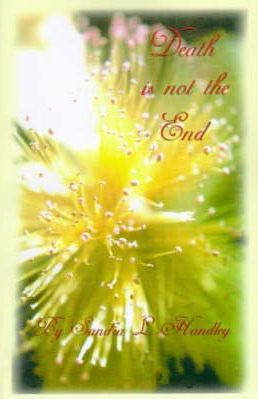 Libro Death Is Not The End - Sandra  L. Handley