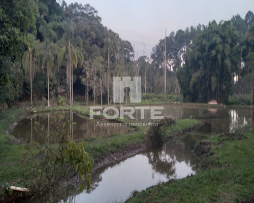 Imagem 11 de 30 de Linda Parte De Terra Com Lagos E Pinheiros Em Sabauna . Imobiliárias De Mogi Das Cruzes. São 47 Mil Metros Com 2 Lagos - Ar00001 - 69542625