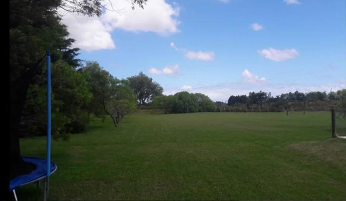 Casa - Punta Ballena. Venta. 5.983 M2 De Terreno