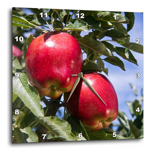 3drose Dpp__1 Red Delicious Agriculture, Idaho - Us13 Dfr114