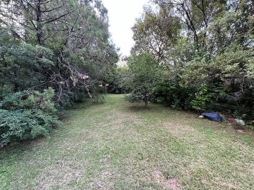 Imagen 11 de 16 de Terreno En Venta En Bella Vista