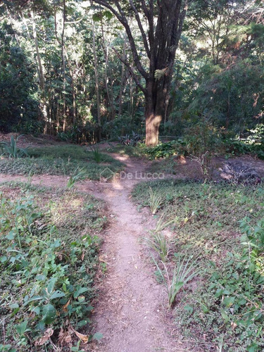 Imagem 15 de 28 de Chácara À Venda Em Chácaras Alpina - Ch009247