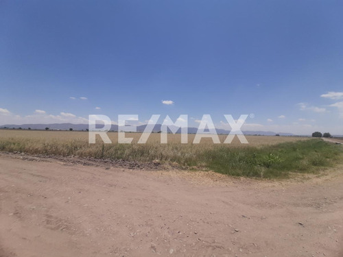 Imagen 4 de 10 de Tierras De Cultivo Agricola - (2)