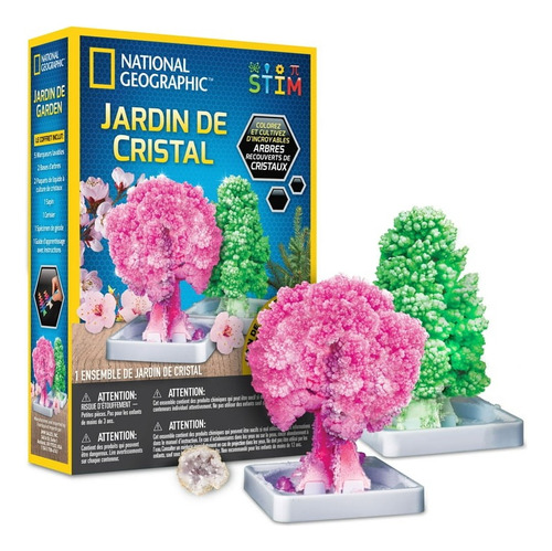 Kit De National Geographic Crystal Garden Jardin De Cristal