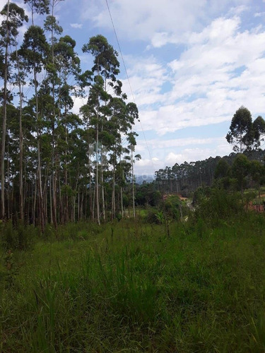 Chácara À Venda No Bairro Chapadão Figueira - Botuverá/sc - 1412c