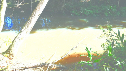 Fazenda Lagoa Santa 20hectares - 3619