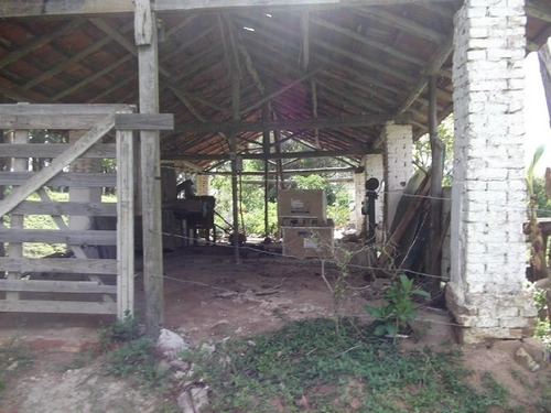 Imagem 3 de 12 de Rural Para Venda, 0 Dormitórios, Sabauna - Mogi Das Cruzes - 882