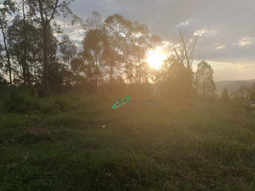 Sítio À Venda, 20000 M² Por R$ 250.000,00 - Paião - Guararema/sp - Si0040