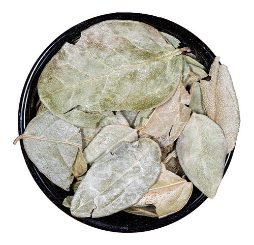 Boldo En Hojas Deshidratado Premium 500g | Sir Neko