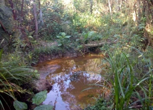 Imagem 17 de 19 de Pj Chácara A Venda