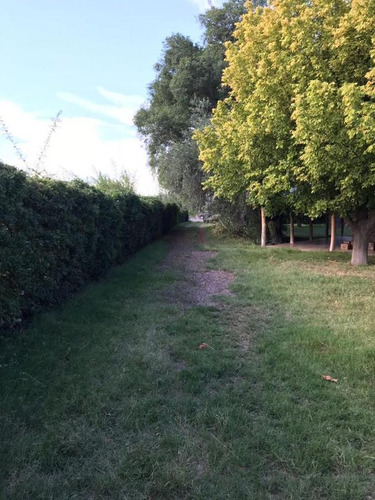 Imagen 20 de 30 de Venta - Finca - Cañada Seca Retasada