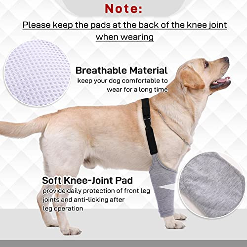 Traje De Recuperación Para Perros Para Patas Delanteras, Ma