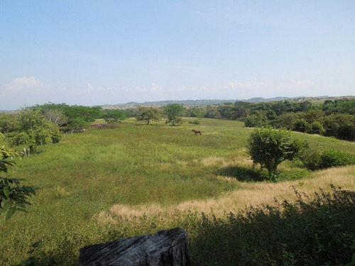 Imagen 7 de 16 de Finca Multiproposito En Neiva-huila