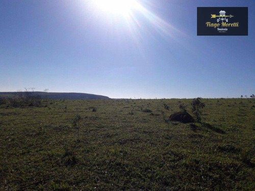 Imagem 23 de 30 de Excelente Fazenda 67 Alqueires - Fa0009