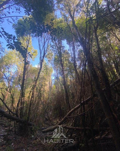 Sitio En Venta En Hualaihue
