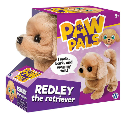 Westminster, Inc. Redley The Retriever - Lindo, Mimoso, P...