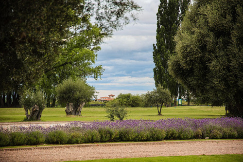 Lot E27 Algodón Wine Estates
