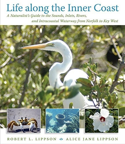 Life Along The Inner Coast A Naturalists Guide To The Sounds