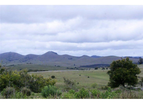 Venta - Chacra 5 Ha, Paraje Del Penitente, Sobre Ruta 8, Minas. Lavalleja.