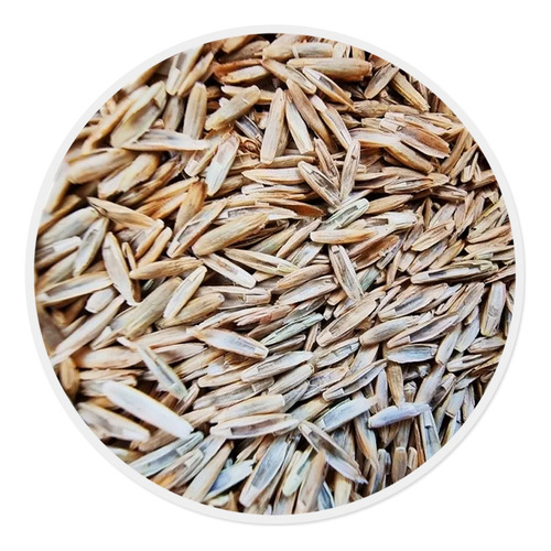Semilla De Pasto Forrajero Var. Alta Fescue Fawn (1 Kg)