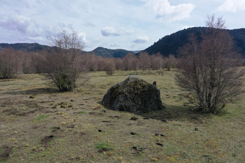 Terreno De Excelente Plusvalía - A 2,3 Km De Malalcahuello