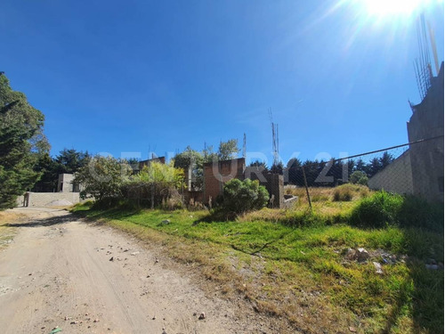 Imagen 4 de 12 de Terreno Venta En Cacalomacan