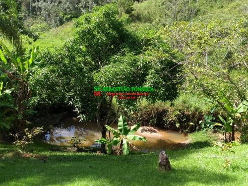 Imagem 7 de 15 de Lindo Sítio Com Nascente E Muita Área Verde - 2002