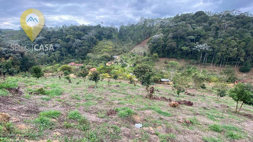 Imagem 9 de 30 de Bela Propriedade Com Boa Rentabilidade Em Santa Teresa - Si0016