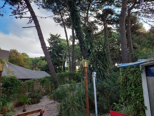 Imagen 7 de 24 de Casa En Pinamar-