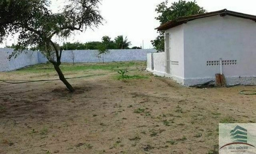 Imagem 4 de 10 de Chácara A Venda Taborda, São José De Mipibu