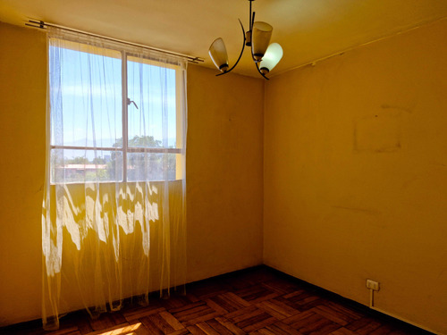 Comodidad Y Tranquilidad (79406)