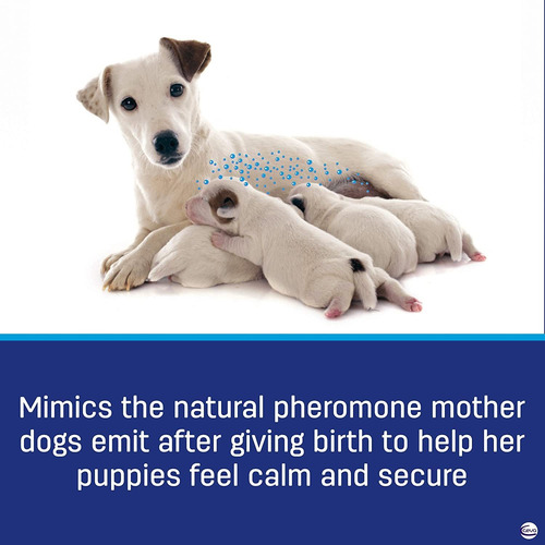 Adaptil Calma - Recambio Difusor Perros Párr