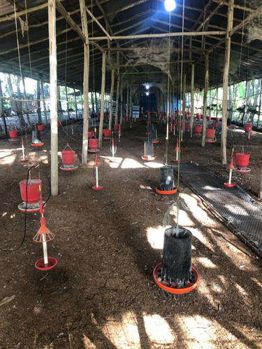 Finca En Venta Bayaguana49