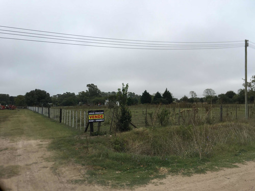 Venta Lote De Quinta Tapalque