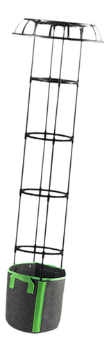 Enrejado De Jardín, Soporte Para , Enrejado, Marco 165x50cm